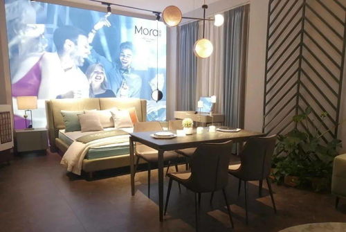 愛(ài)依瑞斯莫拉 詮釋藝術(shù)之魅，引領(lǐng)軟體家具新風(fēng)尚